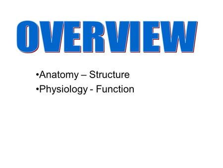 Anatomy – Structure Physiology - Function. Gross Anatomy Regional Anatomy Systemic Anatomy Surface Anatomy Developmental Anatomy Microscopic Anatomy –Cytology.