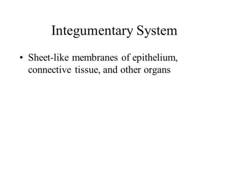 Integumentary System Sheet-like membranes of epithelium, connective tissue, and other organs.