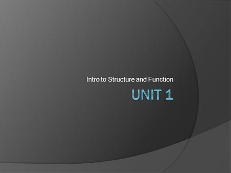 Intro to Structure and Function. Movement terms  Antagonistic – opposing movements Flexion   Extension Abduction   Adduction Inversion   Eversion.