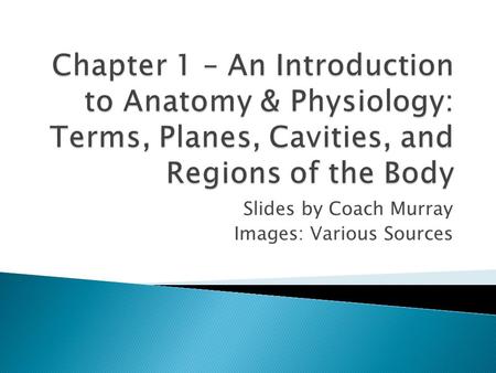 Slides by Coach Murray Images: Various Sources.  Distinguish anatomy and physiology  Explain what anatomical position is  Recall and contrast basic.