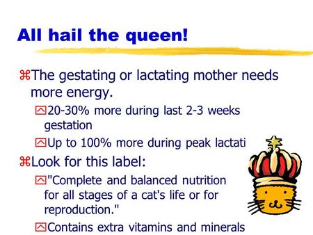 All hail the queen! zThe gestating or lactating mother needs more energy. y20-30% more during last 2-3 weeks gestation yUp to 100% more during peak lactation.