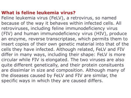 What is feline leukemia virus? Feline leukemia virus (FeLV), a retrovirus, so named because of the way it behaves within infected cells. All retroviruses,