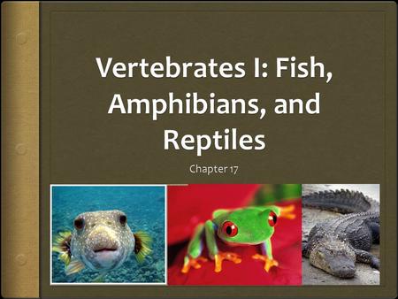 Vertebrates I: Fish, Amphibians, and Reptiles