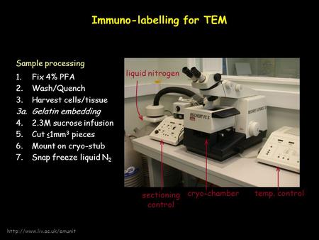 Immuno-labelling for TEM cryo-chambertemp. control liquid nitrogen sectioning control Sample processing 1.Fix 4% PFA 2.Wash/Quench 3.Harvest cells/tissue.