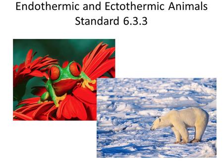 Endothermic and Ectothermic Animals Standard 6.3.3