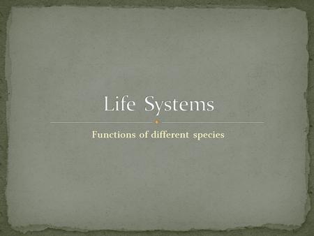 Functions of different species. Endothermic - Mammals produce body heat internally through metabolism. Mammals control their body heat through metabolism.