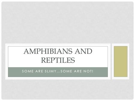 AMPHIBIANS AND REPTILES SOME ARE SLIMY…SOME ARE NOT!