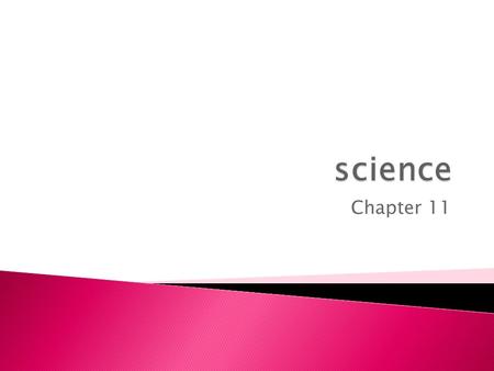 Chapter 11. I. Multicellular II. Eukaryotic III. Specialized for different functions IV. Have a protein called collagen V. Get energy by eating other.