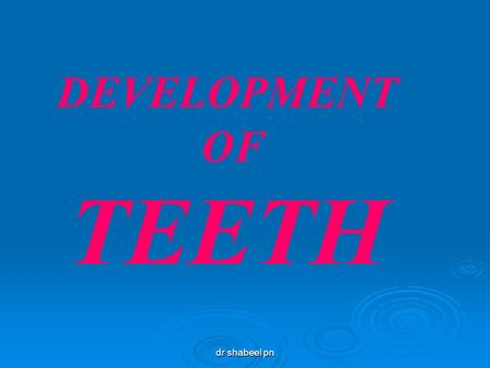 DEVELOPMENT OF TEETH dr shabeel pn.