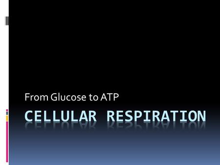 From Glucose to ATP. Equation C 6 H 12 O 6 + 6O2 6CO 2 + 6H 2 O + ATP Glucose and Oxygen produces Carbon Dioxide, Water and ATP energy.