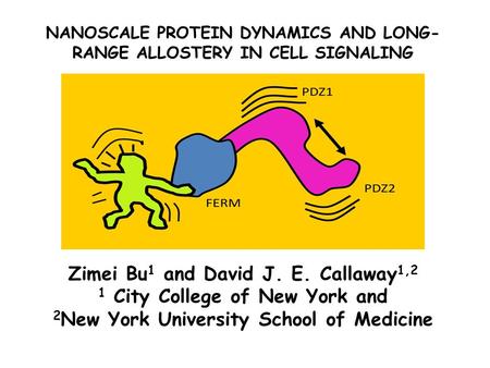 NANOSCALE PROTEIN DYNAMICS AND LONG- RANGE ALLOSTERY IN CELL SIGNALING Zimei Bu 1 and David J. E. Callaway 1,2 1 City College of New York and 2 New York.