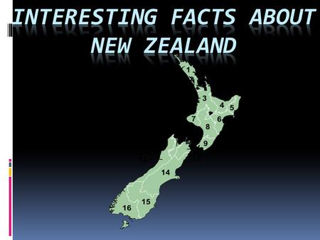 Interesting Facts about New Zealand