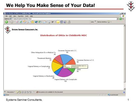 Systems Seminar Consultants, Inc. 1 We Help You Make Sense of Your Data!