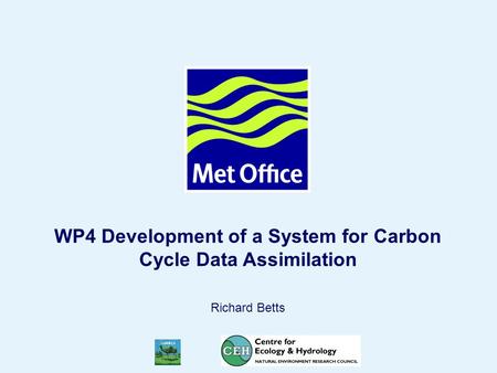 Page 1© Crown copyright WP4 Development of a System for Carbon Cycle Data Assimilation Richard Betts.