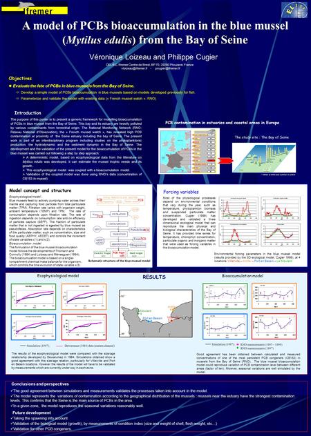 A model of PCBs bioaccumulation in the blue mussel (Mytilus edulis) from the Bay of Seine C:/gemco/textes/meeting/setac/poster.ppt Véronique Loizeau and.