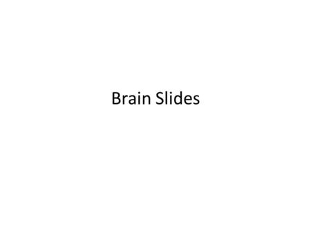 Brain Slides 1.Increased efficiency over time 2.Individual variation in development 3.Prime times for learning some skills 4.Plasticity AND A WARNING!!!