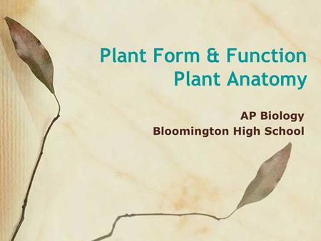 Plant Form & Function Plant Anatomy