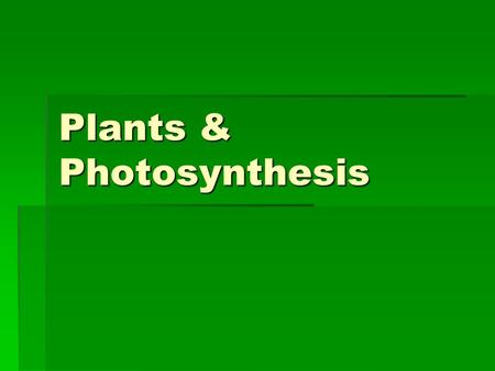 Plants & Photosynthesis. Plant Tissues  Ground tissue –  Parenchyma – thin walled, used for storage, photosynthesis, or secretion.  Collenchyma – thick,