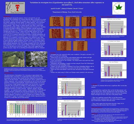 Variations in sweetgum tree (Liquidambar styraciflua L.) leaf ultra-structure after exposure to elevated CO 2 April D Nesbit 1*, Johnna D Sholtis 1, David.