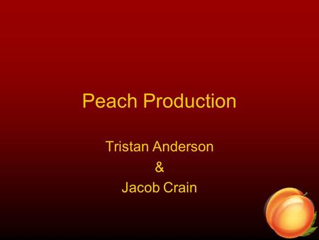 Peach Production Tristan Anderson & Jacob Crain. Stages of a Peach The first stage is Dormancy. No visible things on outside On the inside, Chemical Processes.