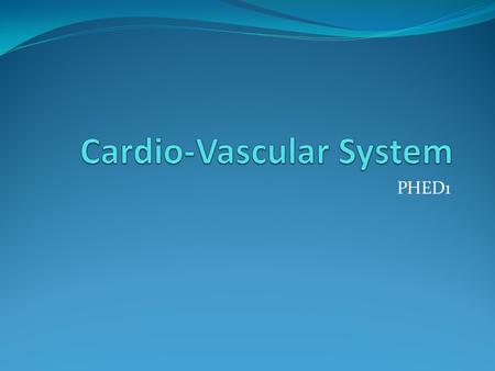 Cardio-Vascular System