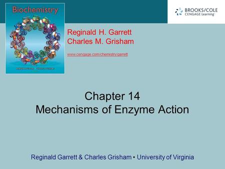 Chapter 14 Mechanisms of Enzyme Action