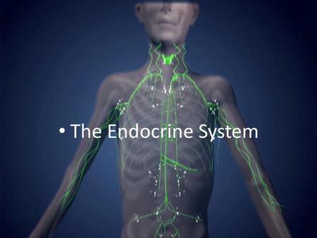 The Endocrine System. I. Hormones: A.Endocrine system produces hormones that are important in maintaining homeostasis & regulating reproduction & development.