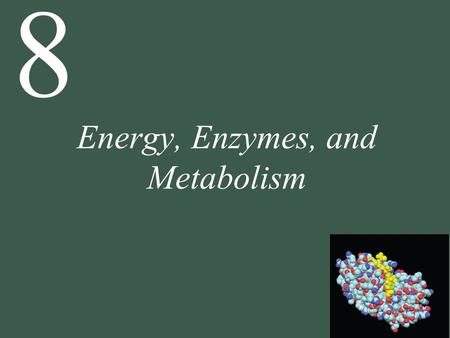 8 Energy, Enzymes, and Metabolism. 8 Energy, Enzymes, and Metabolism 8.1 What Physical Principles Underlie Biological Energy Transformations? 8.2 What.