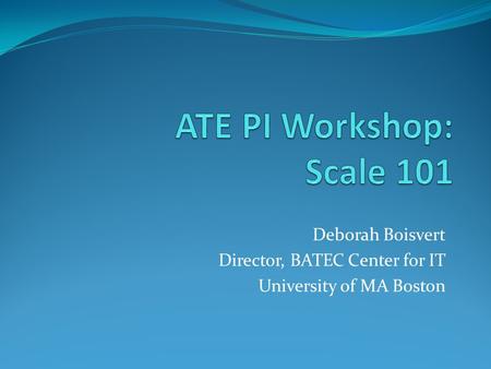 Deborah Boisvert Director, BATEC Center for IT University of MA Boston.