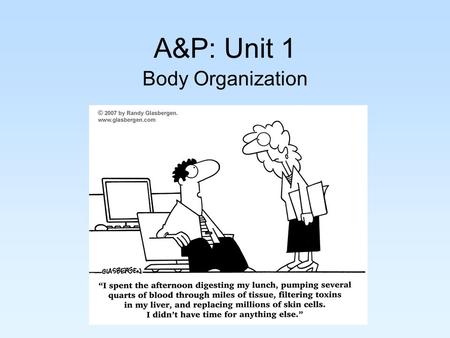 A&P: Unit 1 Body Organization. 11 Organ Systems of the Body Integumentary System Includes: The skin Function: Protects deeper tissue, regulates body temperature,