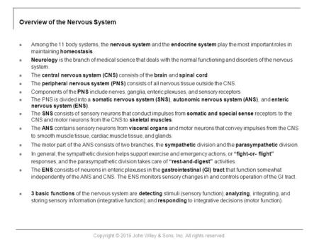 Overview of the Nervous System Among the 11 body systems, the nervous system and the endocrine system play the most important roles in maintaining homeostasis.