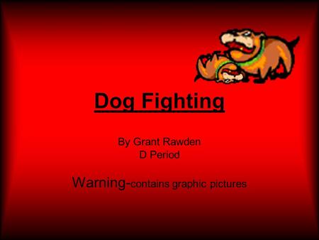 Dog Fighting By Grant Rawden D Period Warning- contains graphic pictures.