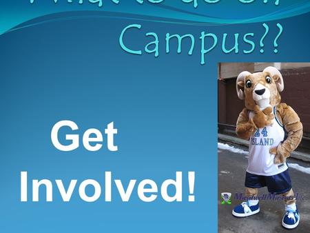 Get Involved!. -Volunteer/Community Service -Work/Work Study Jobs -Clubs -Intramural Club Sports -Student Senate -Religious Centers -Athletics/Gym -Greek.