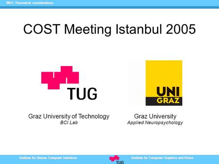 Institute for Human Computer Interfaces Institute for Computer Graphics and Vision WG1: Theoretical considerations COST Meeting Istanbul 2005 Graz University.