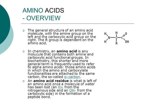 AMINO ACIDS - OVERVIEW  The general structure of an amino acid molecule, with the amine group on the left and the carboxylic acid group on the right.