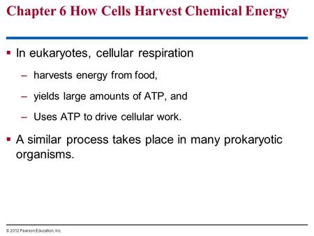 Chapter 6 How Cells Harvest Chemical Energy