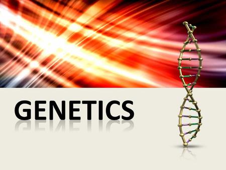 1865- Gregor Mendel studied inheritance patterns using pea plants and observed traits were inherited as separate units. These traits are now known as.