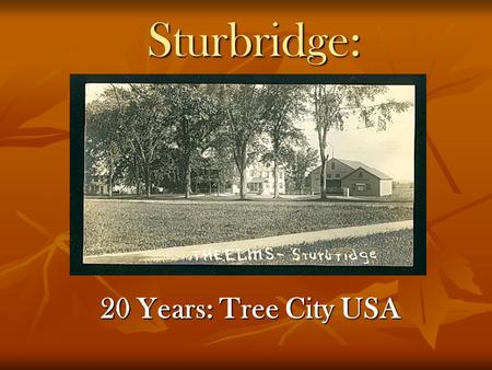 Sturbridge: 20 Years: Tree City USA. Tree Warden: Tom Chamberland First Elected 1984, appointed from 1987 Past President, Worcester County Tree Wardens.