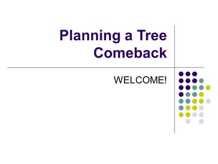 Planning a Tree Comeback WELCOME!. Overview of Today’s Meeting Learn from other communities Learn about the City’s tree programs Hear your concerns around.