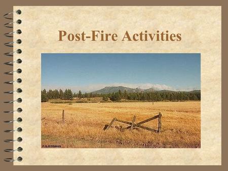 Post-Fire Activities. TYPES OF BURNED AREA EMERGENCY RESPONSE SUPPRESSION REPAIR EMERGENCY STABILIZATION REHAB RESTORATION Objective: Repair Suppression.