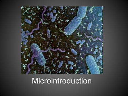 Microintroduction. Who am I? and Why am I here? Why are you here? Name Why are you here? What have you done in other classes to succeed? What have you.