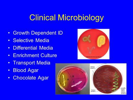 Clinical Microbiology Growth Dependent ID Selective Media Differential Media Enrichment Culture Transport Media Blood Agar Chocolate Agar.