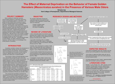 The Effect of Maternal Deprivation on the Behavior of Female Golden Hamsters (Mesocricetus auratus) in the Presence of Various Male Odors PROJECT SUMMARY.