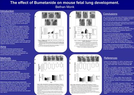 Aims To examine branching morphogenesis and translumenal potential difference following pharmacological abrogation of chloride secretion. ; To examine.