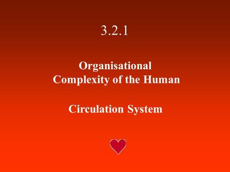 3.2.1 Organisational Complexity of the Human Circulation System.