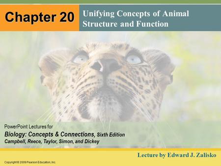 Copyright © 2009 Pearson Education, Inc. PowerPoint Lectures for Biology: Concepts & Connections, Sixth Edition Campbell, Reece, Taylor, Simon, and Dickey.