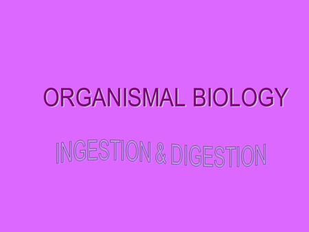 In order to survive, organisms must maintain constant interior conditions in a changing environment.