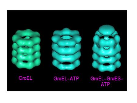 How do proteins fold? Folding in a test-tube The structure of proteins is determined by the amino acid sequence; many proteins in solution can be unfolded.