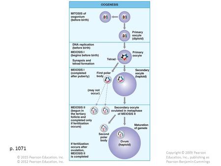 P. 1071 Copyright © 2009 Pearson Education, Inc., publishing as Pearson Benjamin Cummings © 2012 Pearson Education, Inc. © 2015 Pearson Education, Inc.