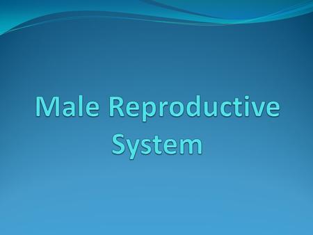 Testosterone Synthesized mainly by leydig cells in the testes, other sources (adrenal cortex and ovarian stroma). Transported bound to plasma proteins.